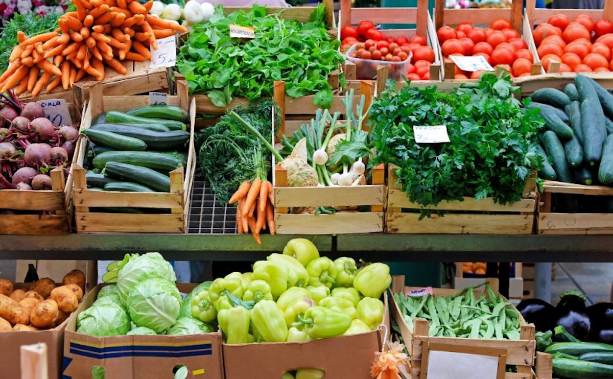 Homesteading After Retirement: Part 3